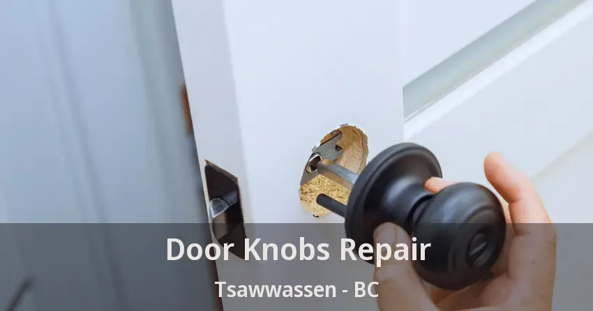 Door Knobs Repair Tsawwassen - BC Door Knobs Repair Tsawwassen - BC